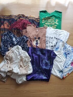 π Ladies Clothing Lot (Sz L)